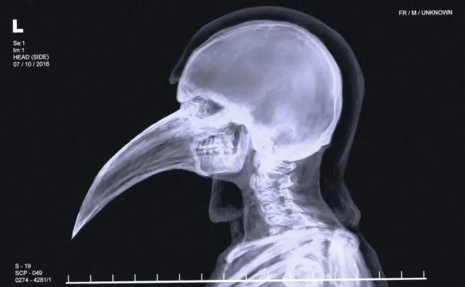 An X-ray image of a skull-like facial structure.